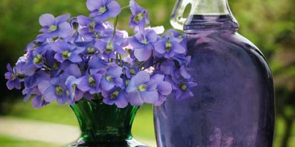 تصویر 5 از خرید و قیمت دارو گیاهی بنفشه + فروش صادراتی